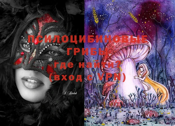 молекула духа Баксан