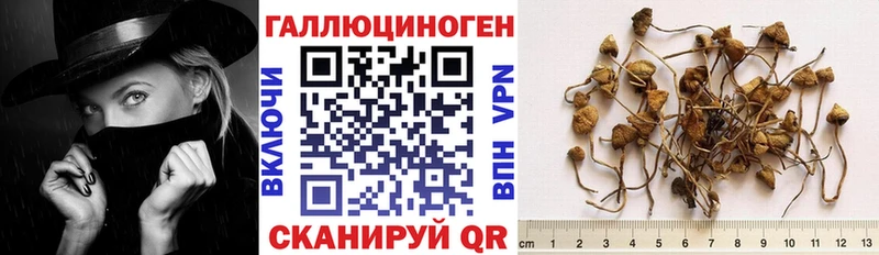 Псилоцибиновые грибы Cubensis  Белинский 